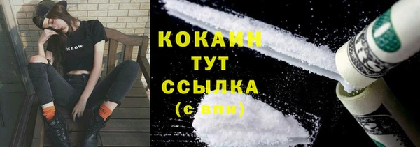 мяу мяу мука Арсеньев