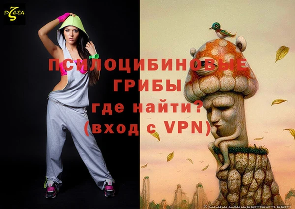 твердый Богородск