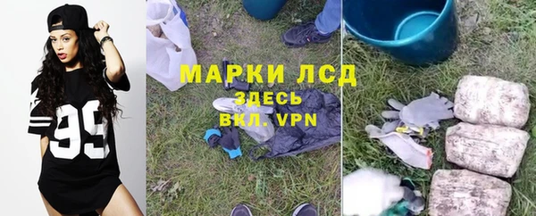 твердый Богородск