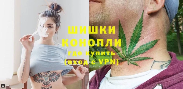дживик Богданович