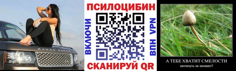 Псилоцибиновые грибы Psilocybe  купить   Петропавловск-Камчатский 