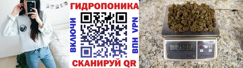 Конопля марихуана  даркнет сайт  Петропавловск-Камчатский 